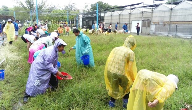 認真的在雨中工作