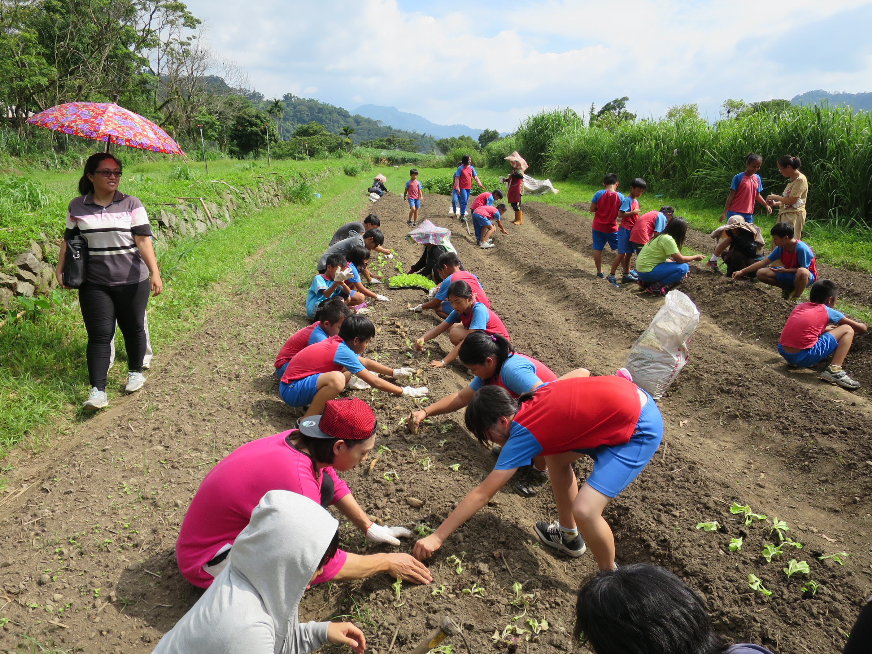 學童與嘉大學生共同種植蔬菜苗