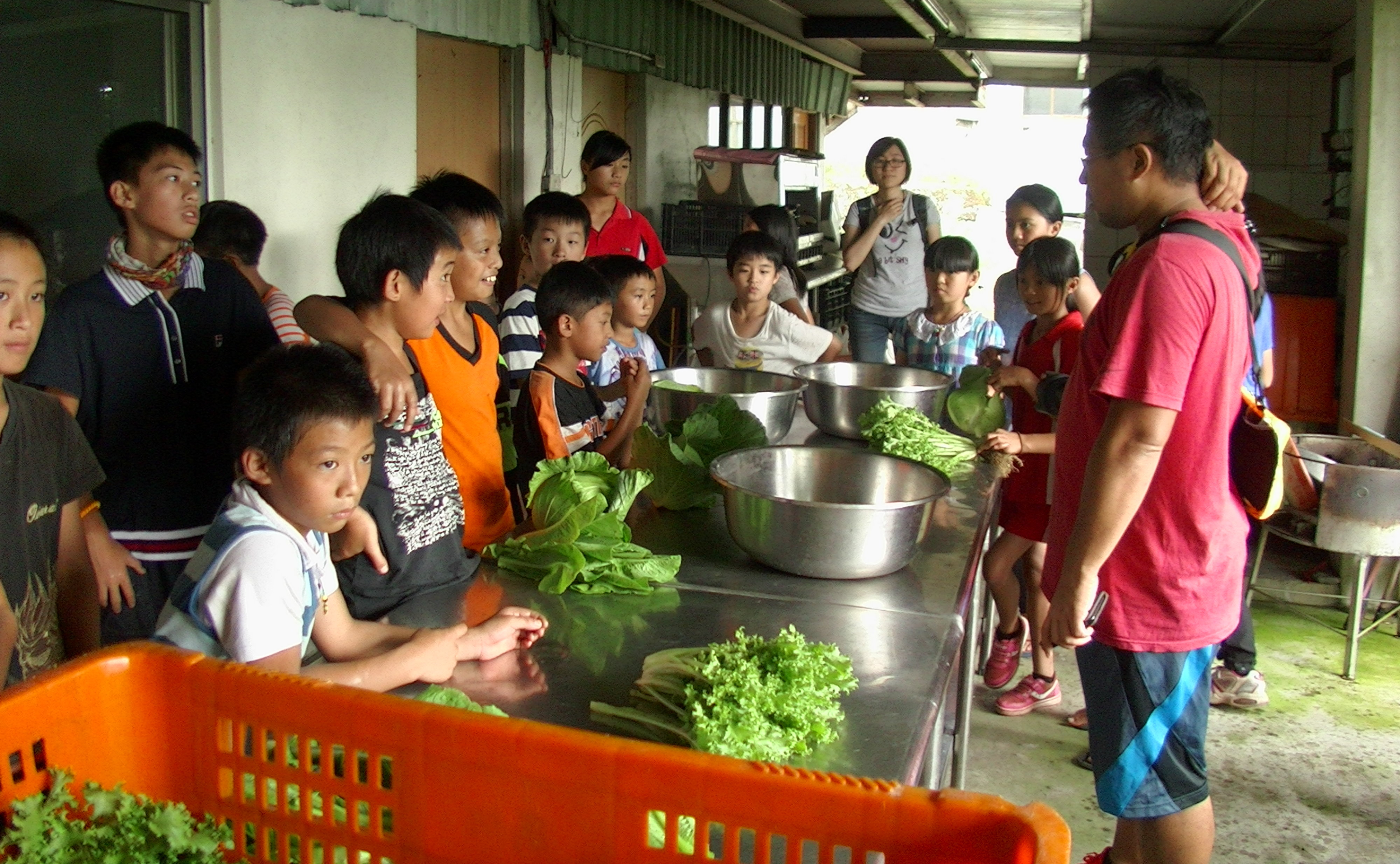 老師將學生分組進行洗蔬菜洗滌作業
