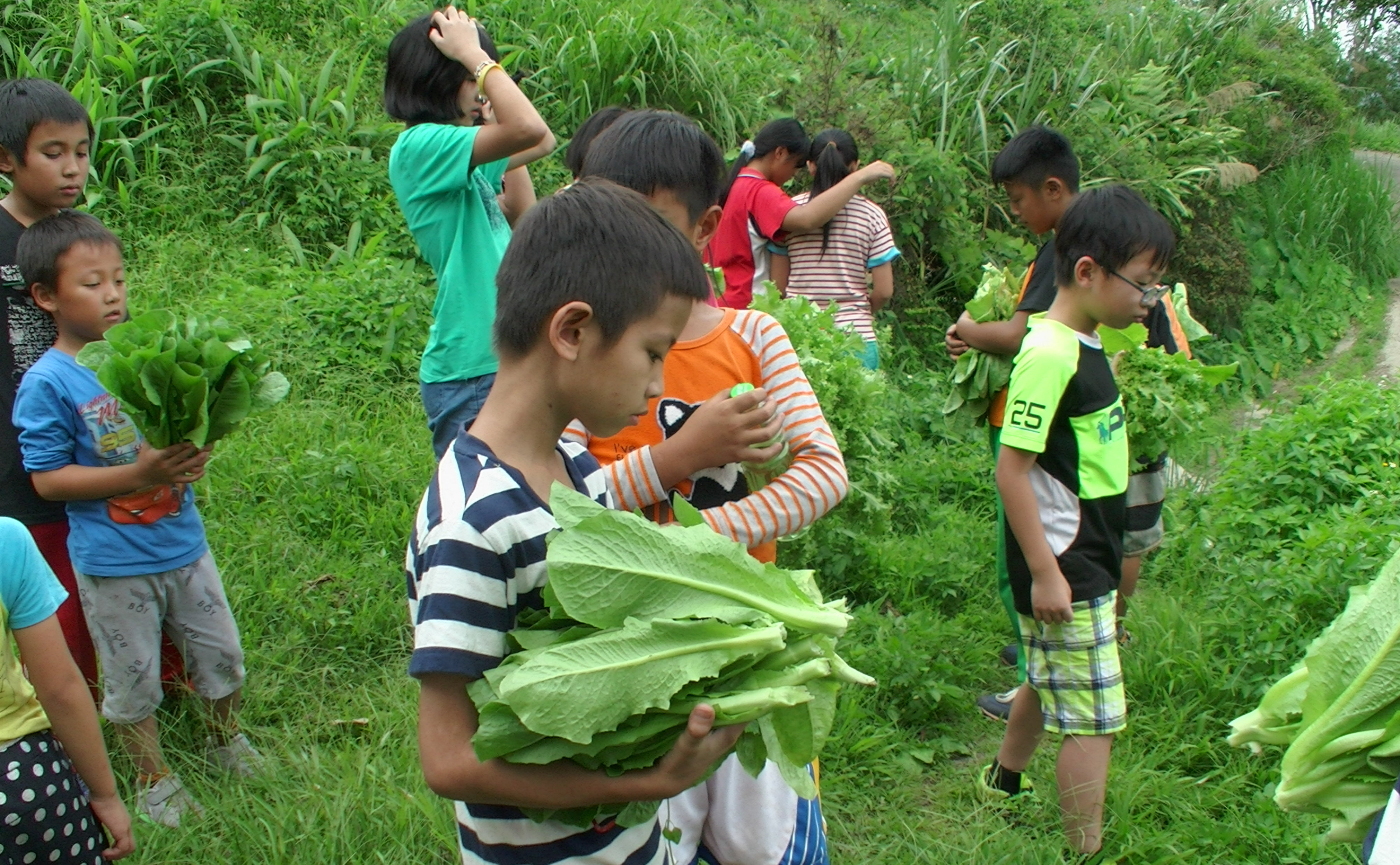 學生採收完有機蔬菜並集合