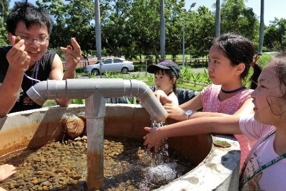 生態池水質淨化介紹