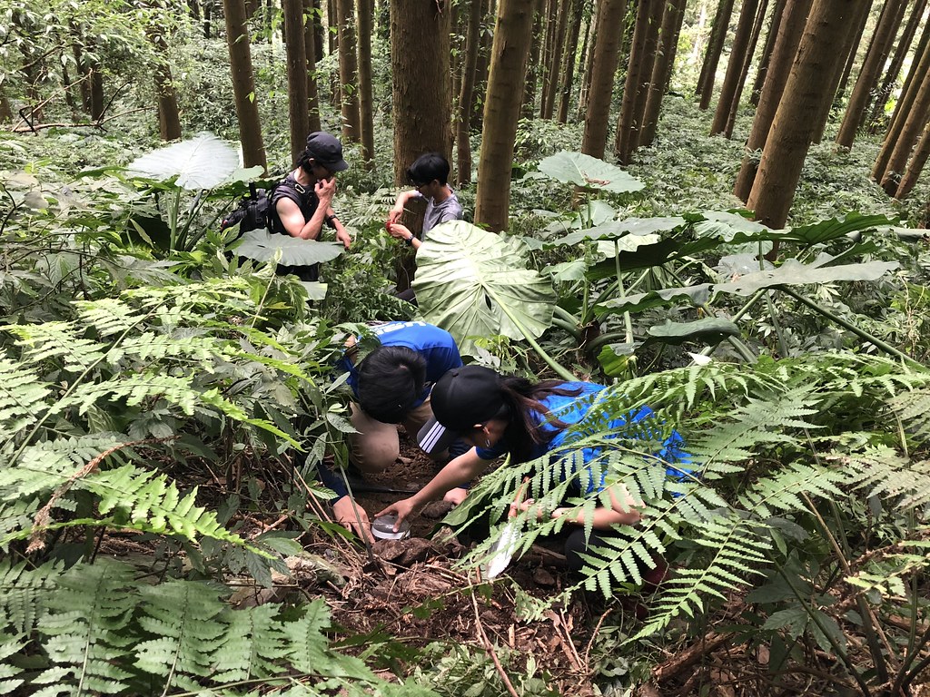嘉義縣市從沿海濕地到台灣最高峰高山森林生態，在嘉義大學師生支持下，成為第一個展示台灣自然生態軟實力的城市。圖片來源：嘉義大學