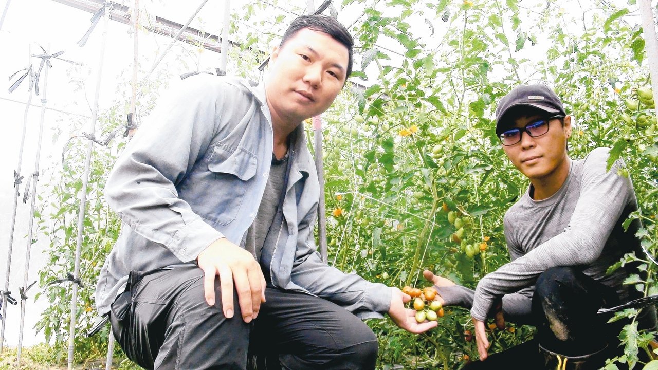 張立坤（右）與胞兄張峰誌是高雄大樹區有機農業的生力軍。 記者王昭月／攝影