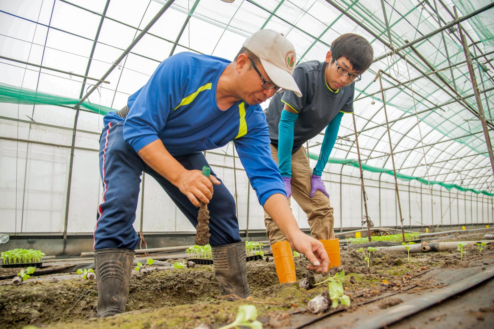 理事長謝俊宏正在指導一季園主如何進行定植。