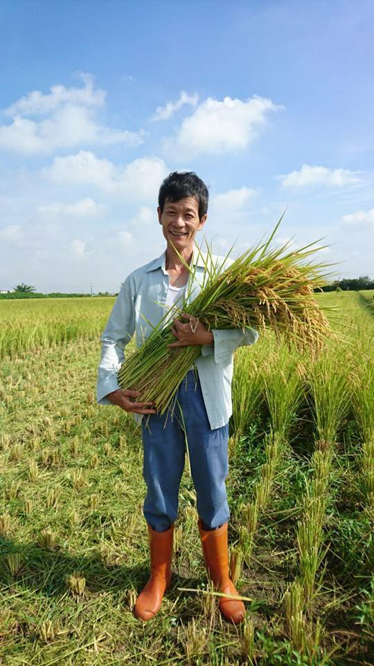 翁坤明夫婦友善大地栽種稻米持續10多年。圖／翁坤明提供