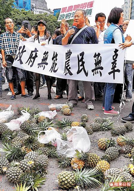 近400名鳳梨農昨到政院門口抗議，痛批「政府無能、農民無辜」。林林攝