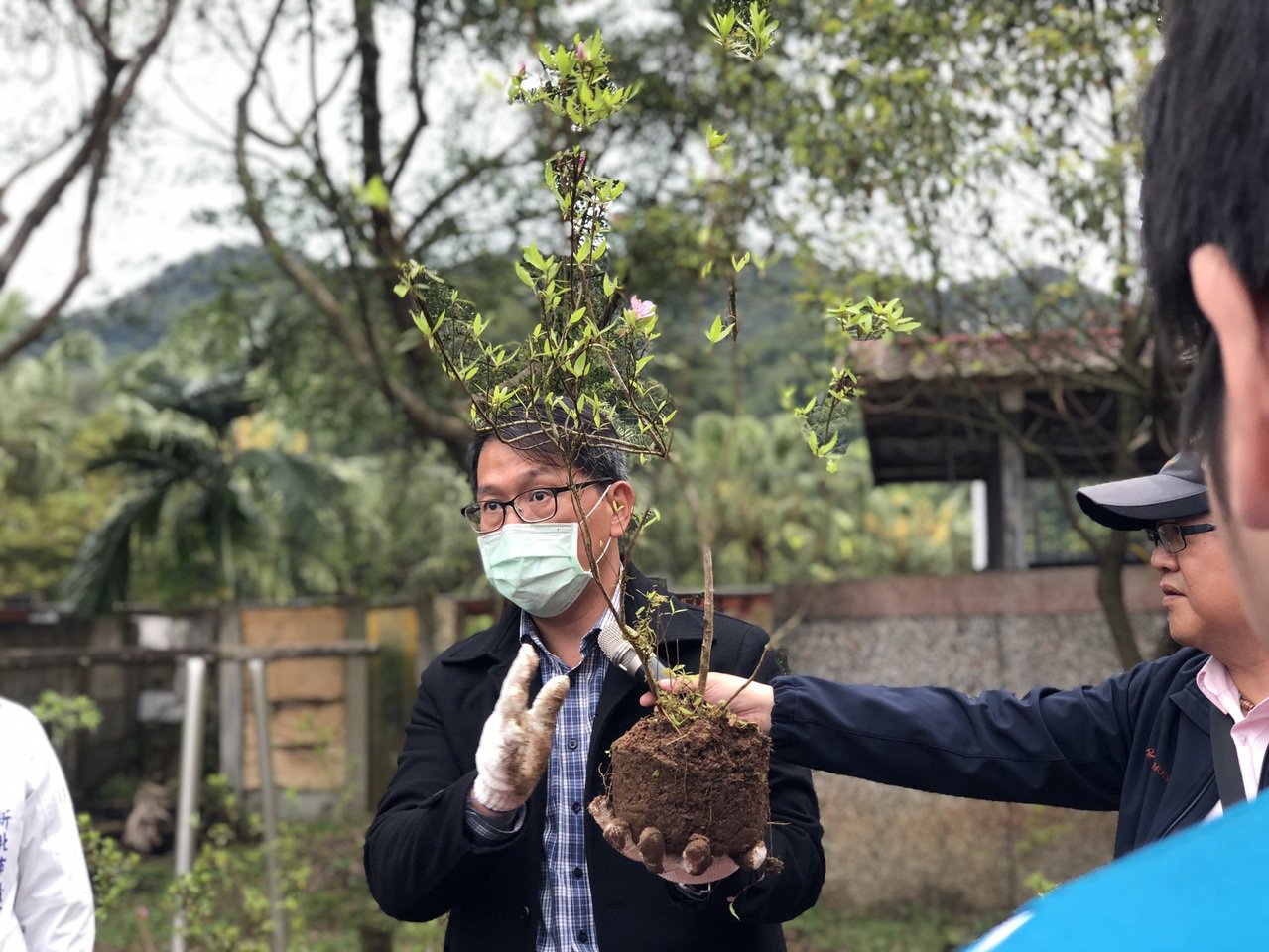 嘉義大學林瑞進副教授說明烏來杜鵑實生苗種植方式。   圖：新北市農業局提供