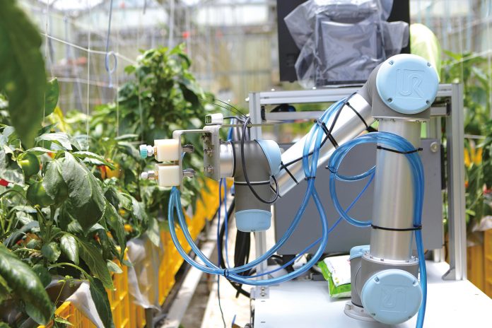 嘉義大學研發的「甜椒栽培植保機器人」以「變形金剛」為目標研發，平時機械手臂可用來執行病蟲害防治，未來希望採收時可改裝為採收機。