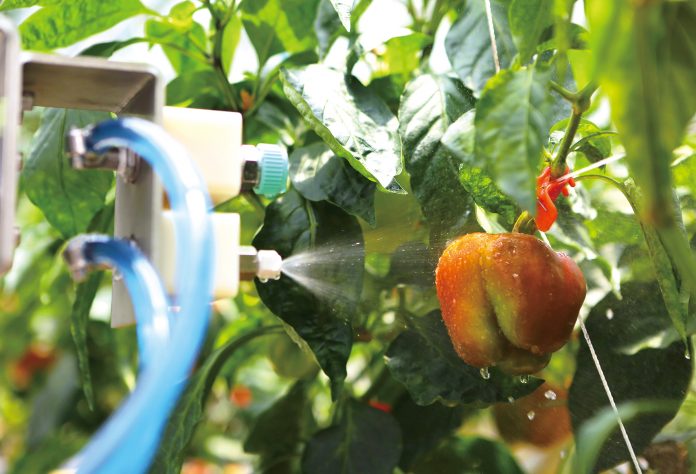 「甜椒栽培植保機器人」可自動偵測甜椒葉片感染哪種病毒，再針對感染部位精準噴藥。