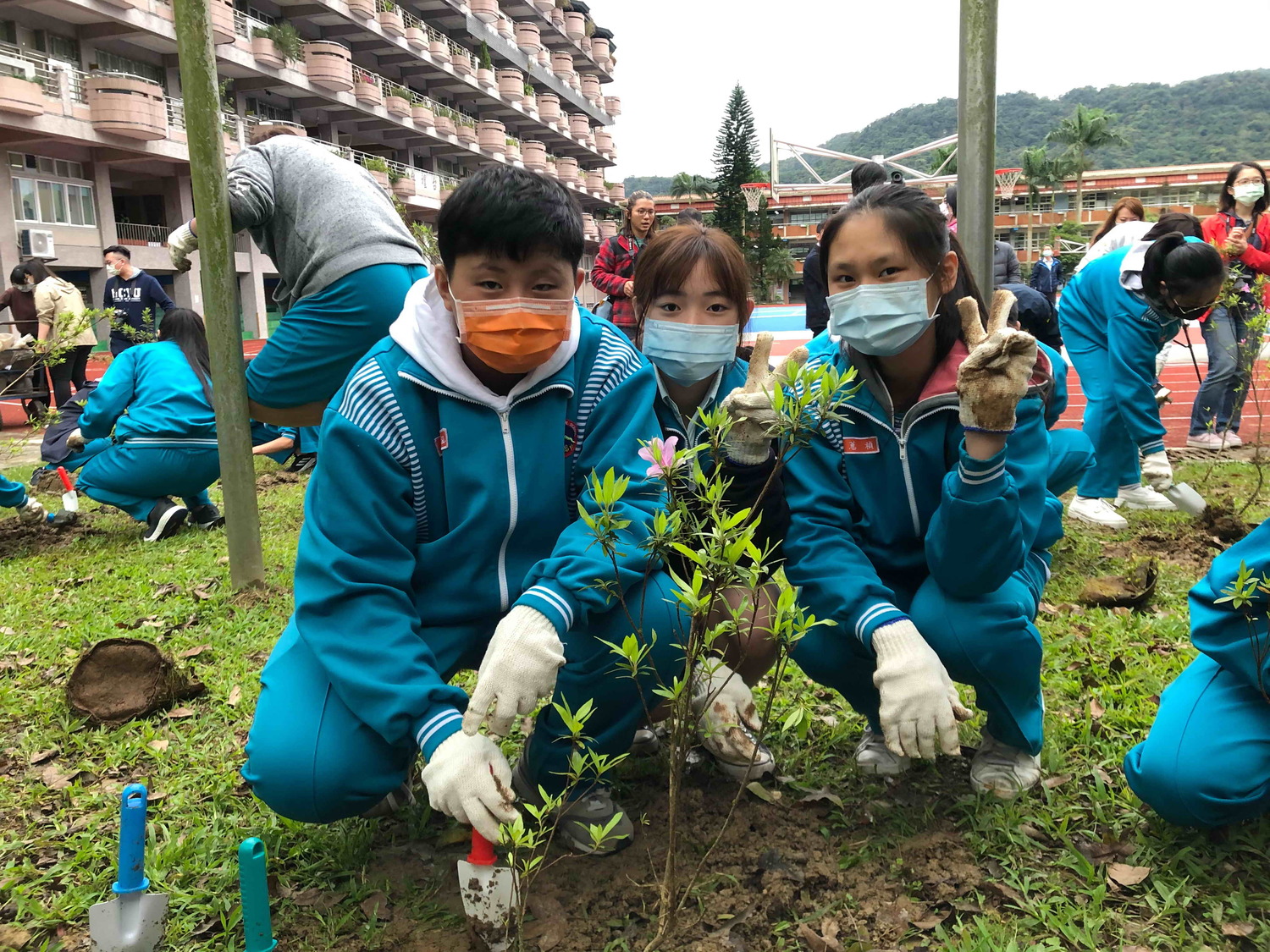 石碇高中學生體驗種植烏來杜鵑實生苗。   圖：新北市農業局提供