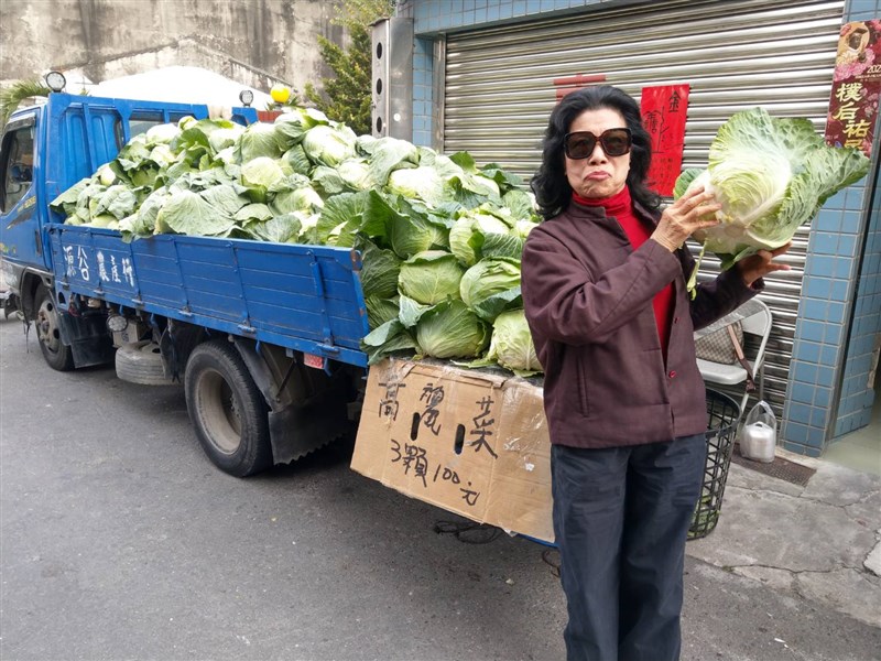 天氣回暖，冬季大宗蔬菜高麗菜、花椰菜和包心白菜過剩，連黑柿番茄也過剩，嘉義縣朴子市文化里長楊石旭，過年不休息，照常幫菜農賣菜，臉友捧場，銷售數百箱，讓菜農好過年。圖／楊石旭提供