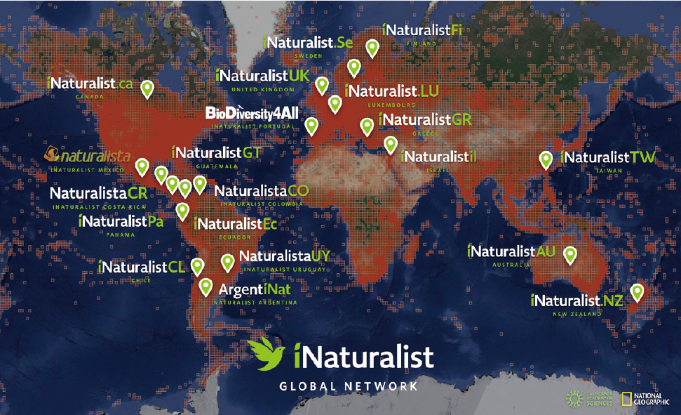 《愛自然‧臺灣》觀察平台成為iNaturalist國際網路最新成員 (照片來源為iNaturalist官方網站)