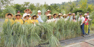 邱校長(前左5)與主管及學童歡喜採收香茅草