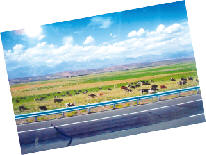 新疆省-「天蒼蒼，野茫茫，風吹草低見牛羊。」