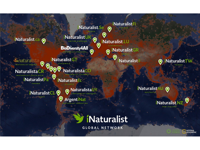 《愛自然·臺灣》觀察平台今天(3日)起成為iNaturalist國際網路最新成員。(照片來源為iNaturalist官方網站)，點擊左鍵可預覽大圖(另開新視窗)
