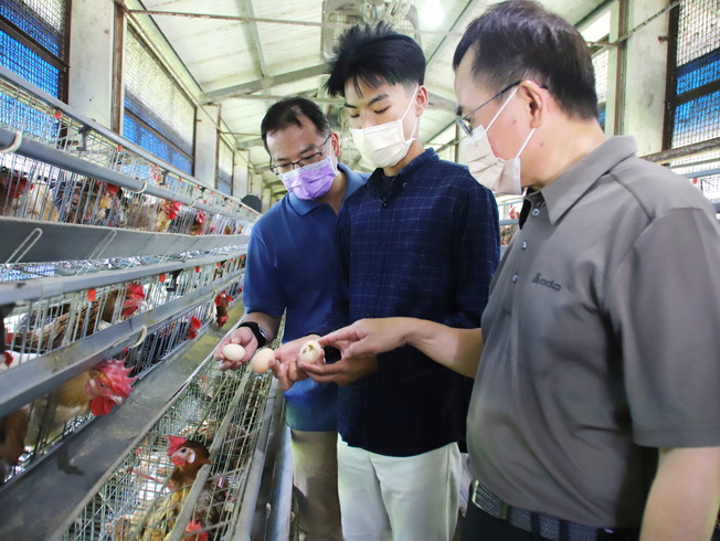 指導教授帶領吳毓祥同學(中)走訪養雞場了解雞蛋生產作業時實際產生情形。(點擊左鍵可預覽大圖_另開新視窗)
