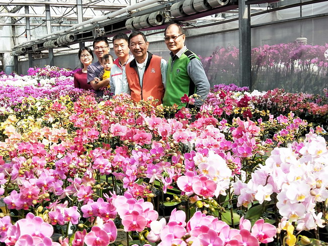 The NCYU Department of Horticultural Science – the invisible champion – plays a pivotal role in nurturing orchid professionals for the orchid industry in Taiwan. (From right to left: Shen Rong-Show, Chairman of the Department of Horticultural Science; Jian Wei-Zuo, Chairman of Yi-Shin Lotus Garden; Wang Bing-Xun, alumnus and director of Yi-Shin Lotus Garden; and Chen Jiang-Liang and his wife Kang Fang-Yu, alumni and owners of Lehe Orchid)