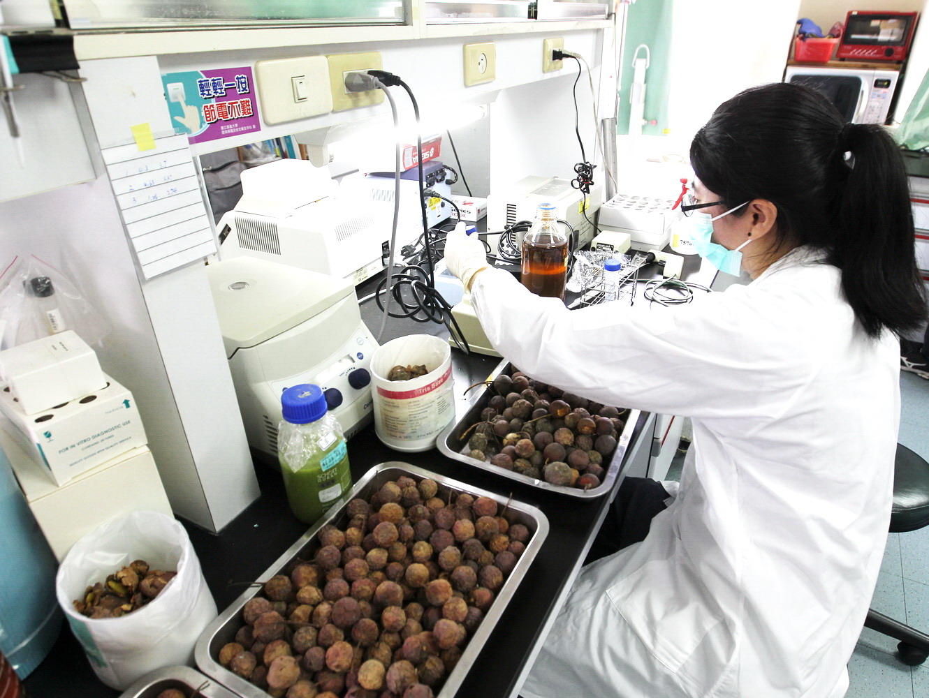 The College of Life Sciences puts emphasis on both academic knowledge and experimental skills. The students may select laboratories to pursue their individual research project based on their own interest. 