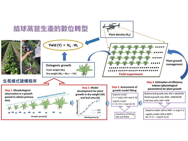 嘉大農藝學系莊愷瑋教授帶領研究生開發結球萵苣生產之智慧化模式及數位轉型架構圖。（照片由主辦單位提供)