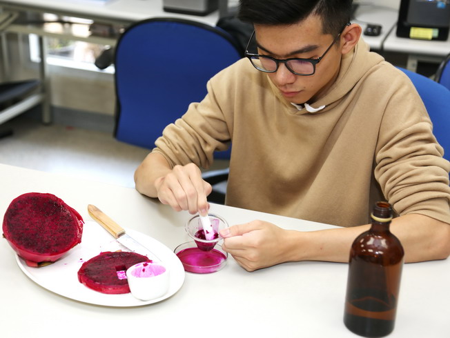 The teacher-student team of the Department of Electrical Engineering replaced synthetic dyes with dragon fruit in making dye-sensitized solar cells, the results of which have been published in the international journal. 