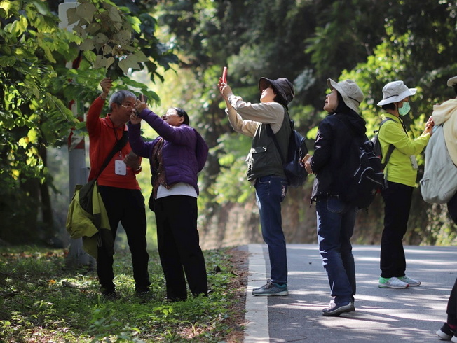 全臺灣生物速查競賽今天起同步展開，歡迎拿起手機一起發掘周邊的生物多樣性。（照片由林政道老提供)