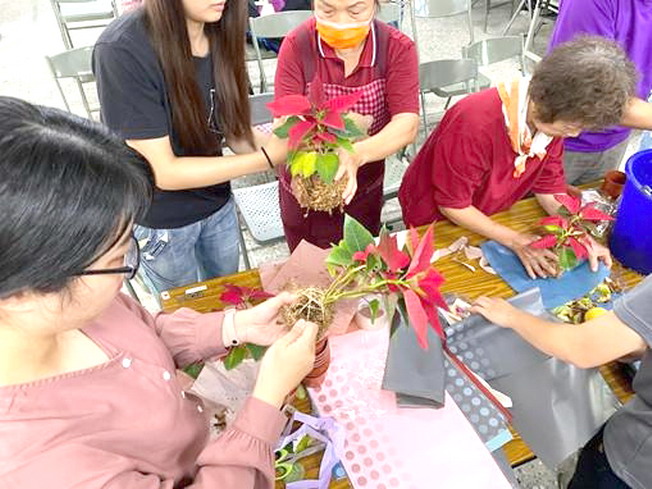 長輩動手製作聖誔紅水苔球植株