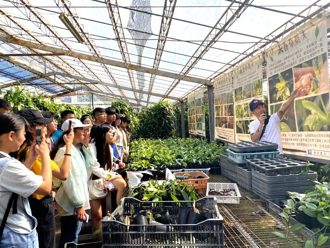 The publicly funded students of agriculture at NCYU visited the herb greenhouse to know more about the breeding, cultivation and application of vanilla plants. 