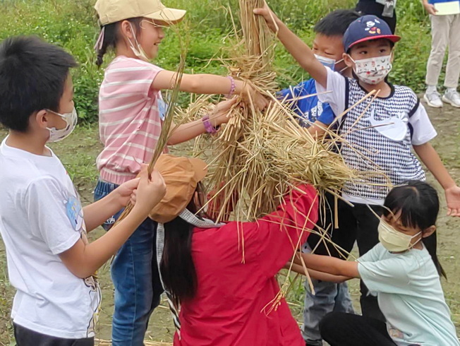 農藝志工教導學童如何紮稻草人來保護農民的稻子。(照片由侯主任提供)