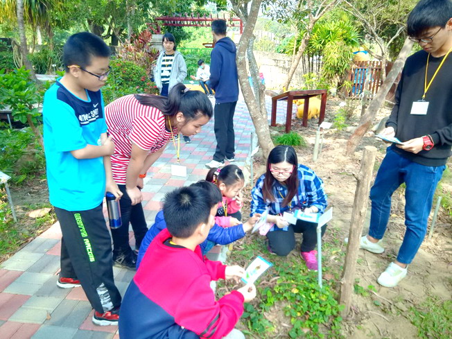 圓崇國小植物導覽員培訓營，透過牌卡認識植物