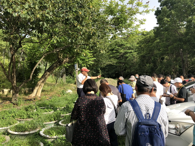 農藝學系侯金日教授帶領學員於蘭潭校區內進行雜草識別