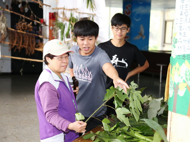 Students from the Department of Forestry and Natural Resources, NCYU, introduced the visitors to the commonly seen trees.