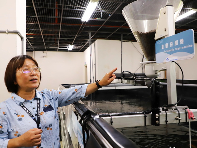  Shu-Mei Chen, Chairperson of the NCYU Department of Aquatic Biosciences, introduced the automatic feed machine, which can feed at regular intervals or manually. 