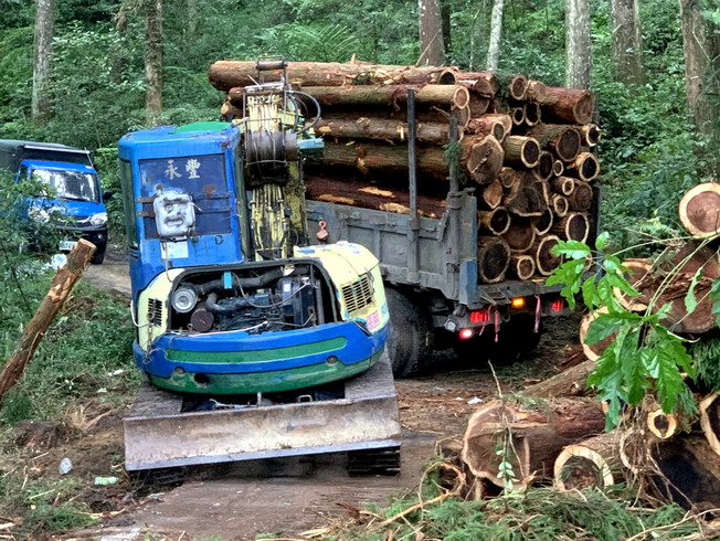 “Logging, bucking, gathering, transportation and storage” – timber harvesting: the grapple loader and winch control pulley of the excavator