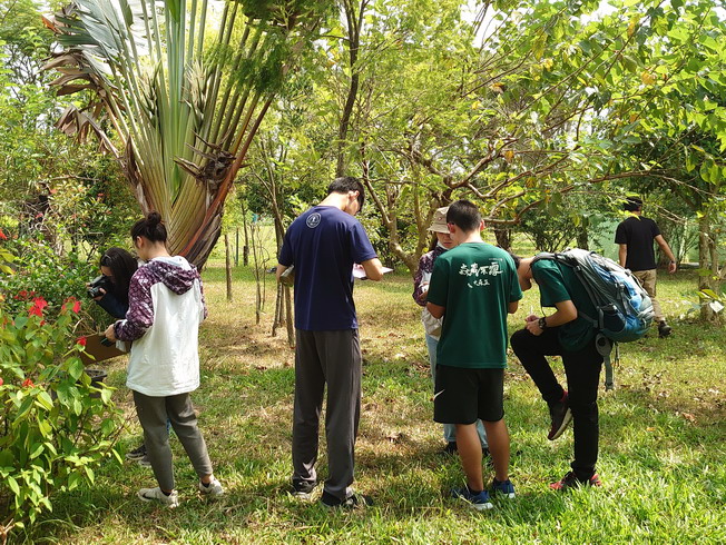嘉大森資系學生運用所學協助地方調查園區內植物資源。（照片由主辦單位提供）