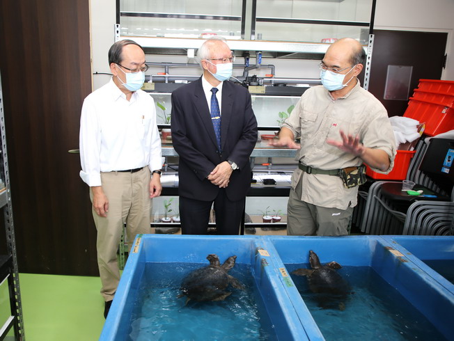 嘉大生物資源學系許富雄系主任向艾群校長及張岱處長介紹豬鼻龜之習性。
