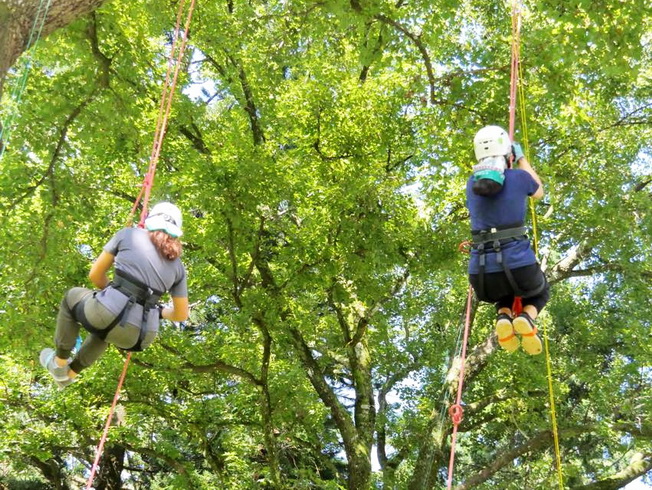 The tree climbing experiential activities are both enjoyable and challenging.