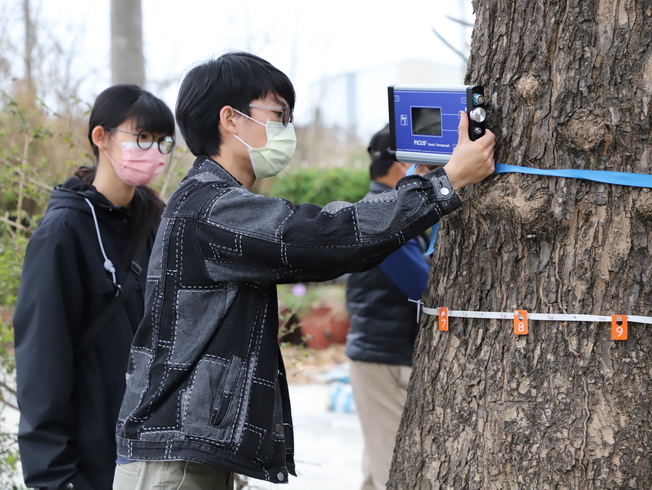 嘉大森林暨自然資源學系學生以應力波斷層掃描圖譜儀檢測好美里老樹樹幹斷面木質部腐朽及密度。