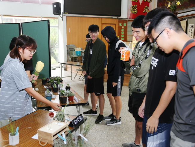 The visiting students showed a lot of interest in the small potted plants of Tillandsia.