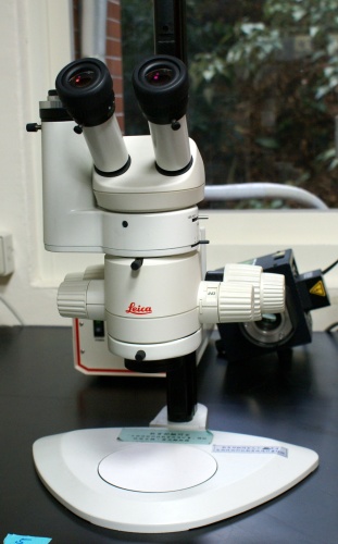 解剖螢光顯微鏡