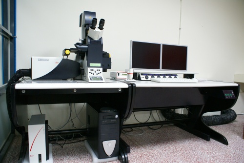 共軛焦顯微鏡 Confocal Microscopy